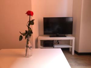 Au cœur du vieux -Nice studio place Rossetti