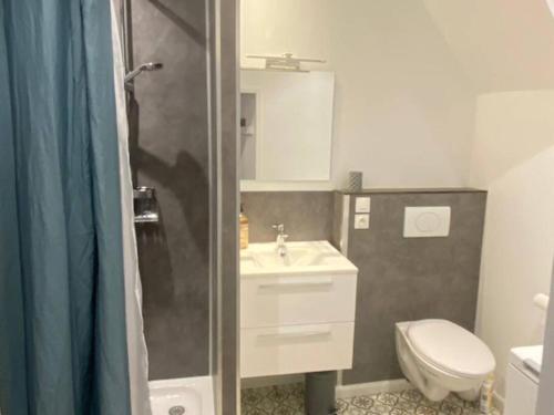 Au Petit Bragard- triplex proche centre ville