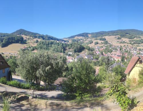 Au vieux cèdre