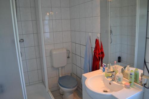 Auf der Weide