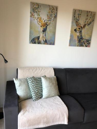 Auron Joli appartement