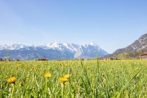Ausblick