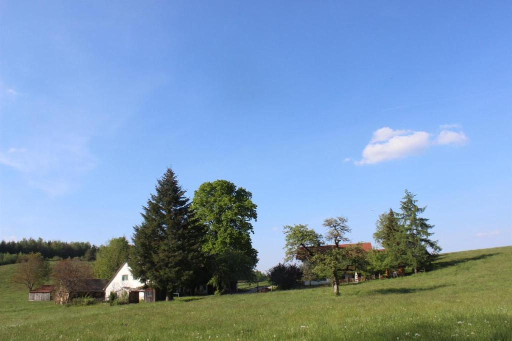 Appartement Auszeit auf dem Lindenhof Hiltensweiler 27 88239 Wangen im Allgäu