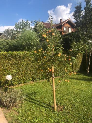 Auszeit im Allgäu
