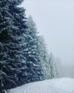 Auszeit im Schwarzwald