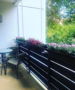Appartement Auszeit im Schwarzwald Kohlwaldweg 72250 Freudenstadt Bade-Wurtemberg