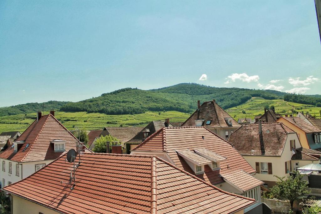 Aux 6 hirondelles 2 Rue du Village Neuf, 68770 Ammerschwihr