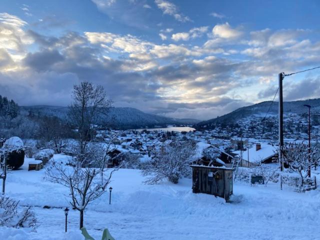 Appartement Aux Bonheurs du lac 7 chemin de la fouillante 88400 Gérardmer