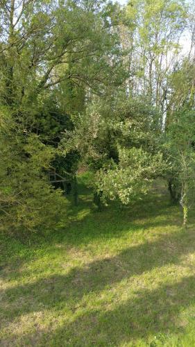 AUX NOBLES ACACIAS