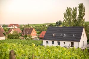 Aux pieds des vignes
