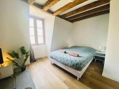 Aux pieds du Vieux-Mans : Joli Studio Cosy