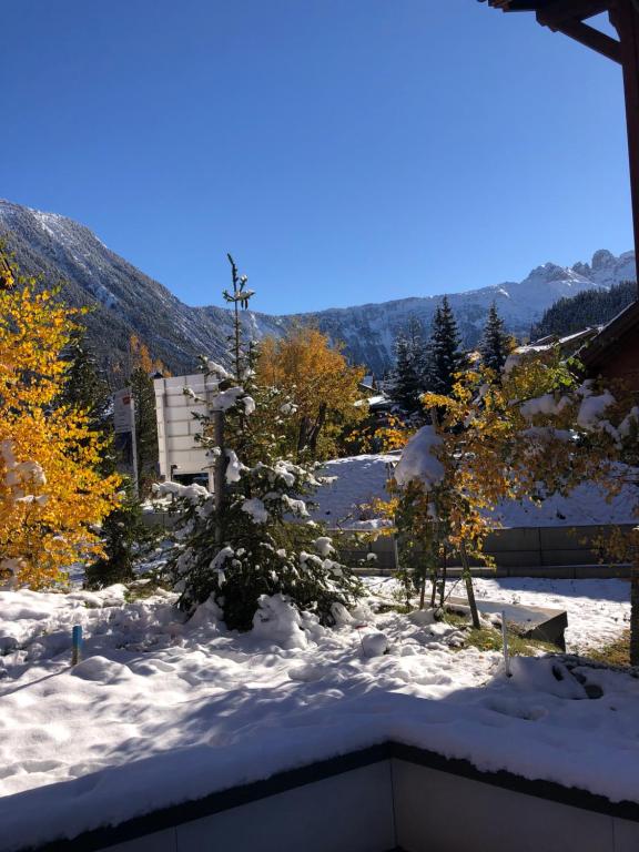 Appartement AUx SPORTS D HIVER le vivarois immeuble L EVERST APP 002 672 RUE DU L AIGUILLE DU FRUIT MORION 73120 Courchevel