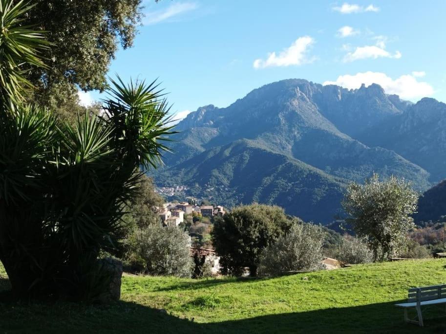 Appartement Appartement avec vue sur la montagne Route Fontanella, 20160 Vico