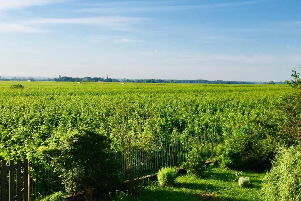 Appartement Appartement avec vue sur les vignes à Gevrey 102 Route de Beaune, 21220 Gevrey-Chambertin