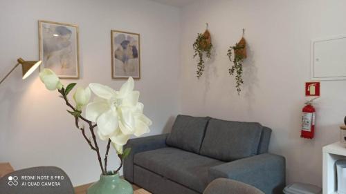 Aveiro Ria House C
