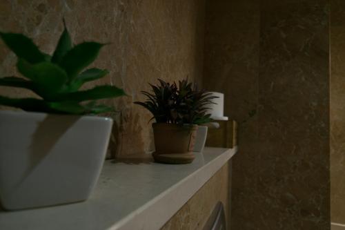 Avenida Central - Coimbra Accommodation