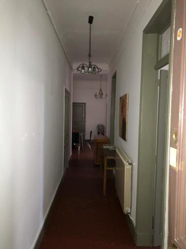Avignon centre ville appartement T3 meublé 2 chambres