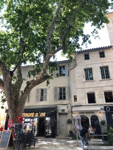 Avignon pedestrian area, charming, 4 persons