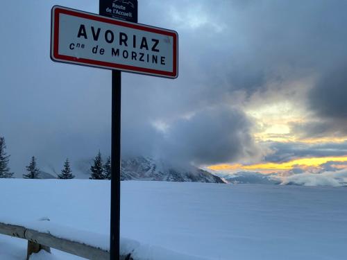 Avoriaz beau 2P falaise confort skis aux pied proche parking