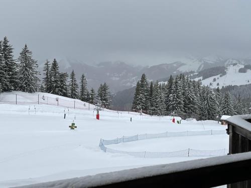 Avoriaz Malinka