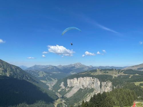 AVORIAZ Station - Splendide T3 rénové 60m2 avec Vue Exceptionnelle