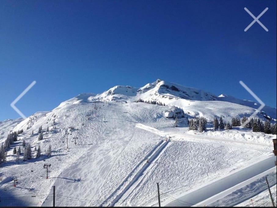 Avoriaz: superbe appartement de près de 70m2 ! Corniche des Hauts Forts, 74110 Avoriaz