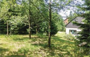Awesome apartment in Auerbach OT Grnheide with 4 Bedrooms and WiFi