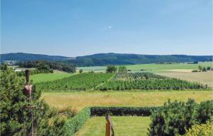 Awesome apartment in Medebach-Ddinghausen with 1 Bedrooms and WiFi