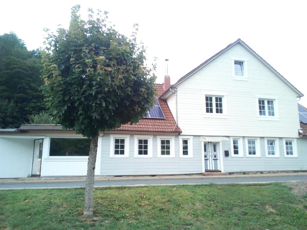 Appartement B&B Dellemann 71 An der Sieber 37412 Sieber