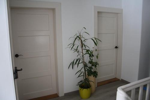 B&B Dellemann