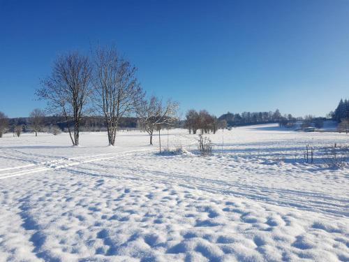 Bad Saulgau
