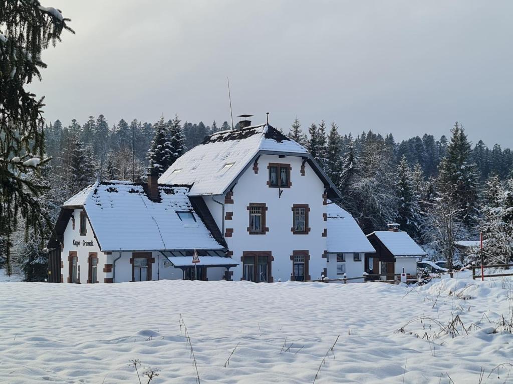 Appartement Bahnhof Kappel-Grünwald - Dachgeschoss-Wohnung 32 Grünwälder Straße 79853 Lenzkirch