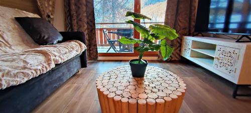 Balcons des Airelles - T2 avec PARKING - BDA201 - MATERIEL SKI OFFERT