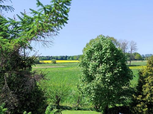 Baldies Tenne in Ostseenähe