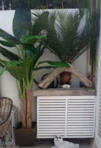 BANDOL Magnifique appartement en RDC cour sans vis à vis 5mn plage