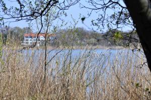 Bansin, Fewo Seeblick 1111