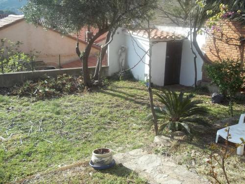 Appartement Banyuls-sur-Mer, 3 pièces, 6 personnes - FR-1-309-35 Banyuls-sur-Mer france