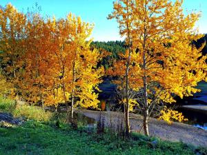 Basthaus - wohnen in der Natur