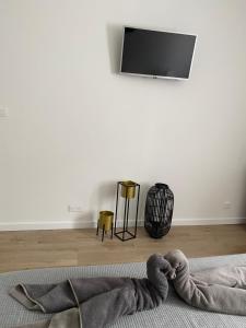 Bastia Appartement avec terrasse proche du centre ville et commerces, parking, internet