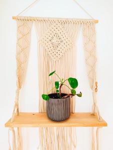 Be a Guest at PachaMama Community