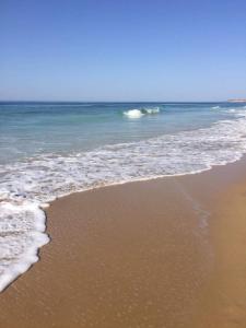 Beach Condominium