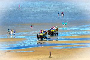 Beach Lodge BL08