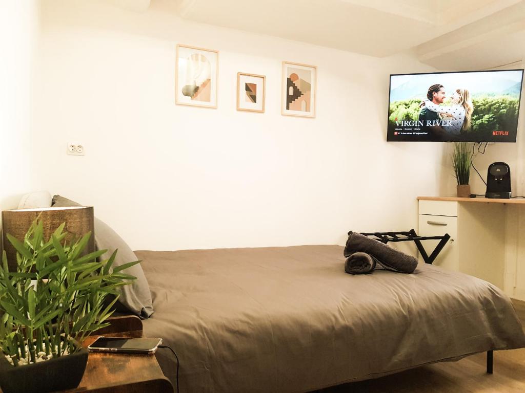 Appartement Beau-Mellaise-Coeur de Niort-calme-Wifi-Netflix 36 Rue Mellaise 79000 Niort