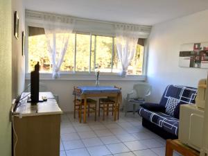 BEAU STUDIO AU CENTRE PORT DU CAP D'AGDE