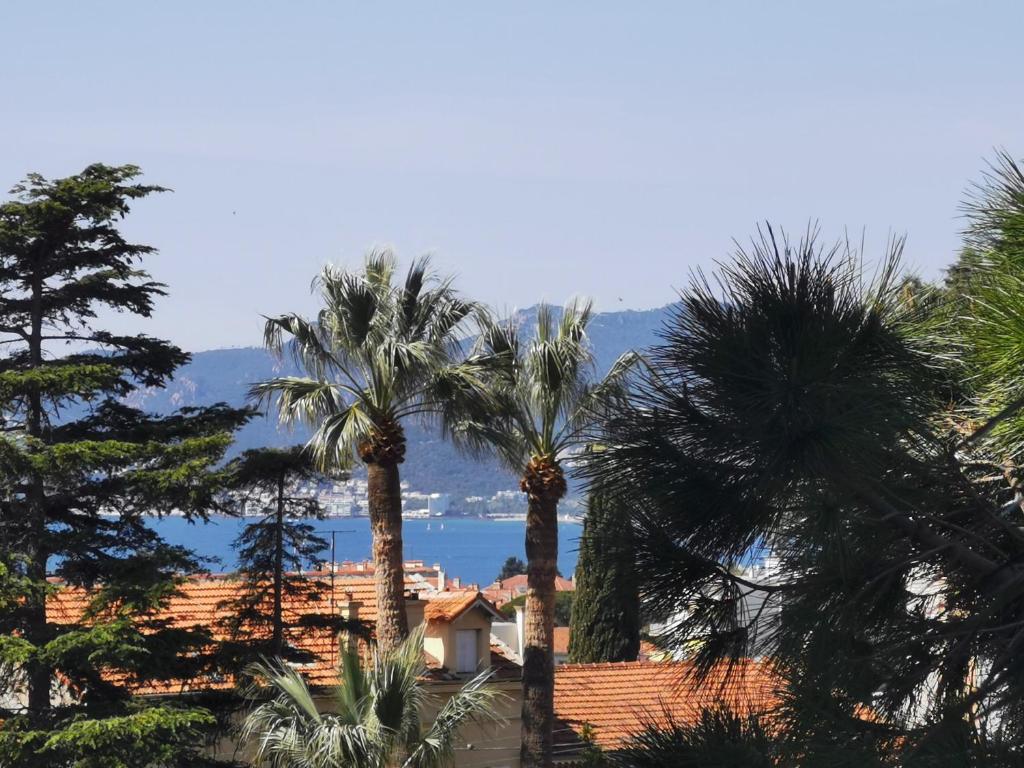Appartement Beau studio proche centre ville, une terrasse vue mer latérale, piscine, Parking 6 Impasse Bellevue 06400 Cannes