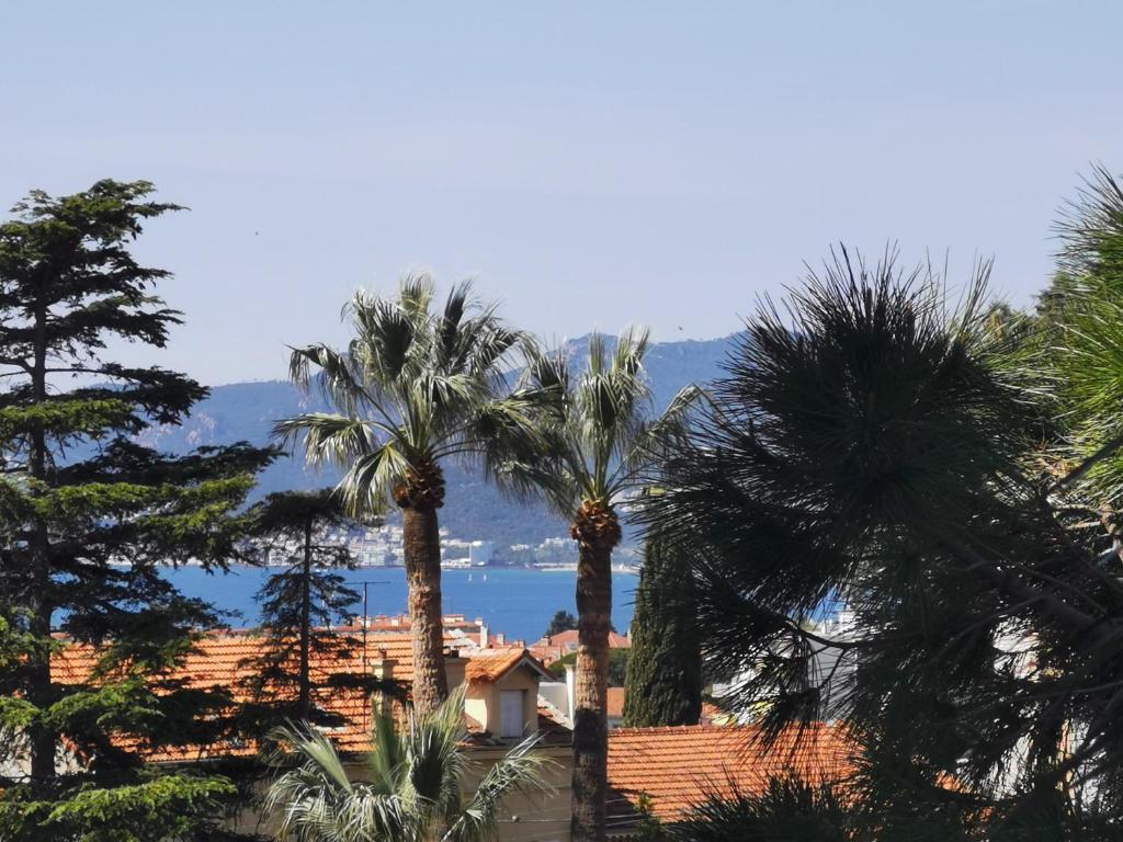 Beau studio proche centre ville, une terrasse vue mer latérale, piscine, Parking 6 Impasse Bellevue, 06400 Cannes