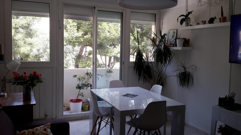 Appartement Beau T3 à la Ciotat 245 Avenue de la Paix 13600 La Ciotat