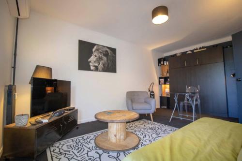 Beautiful 34m with terrace in Saint-Raphaël