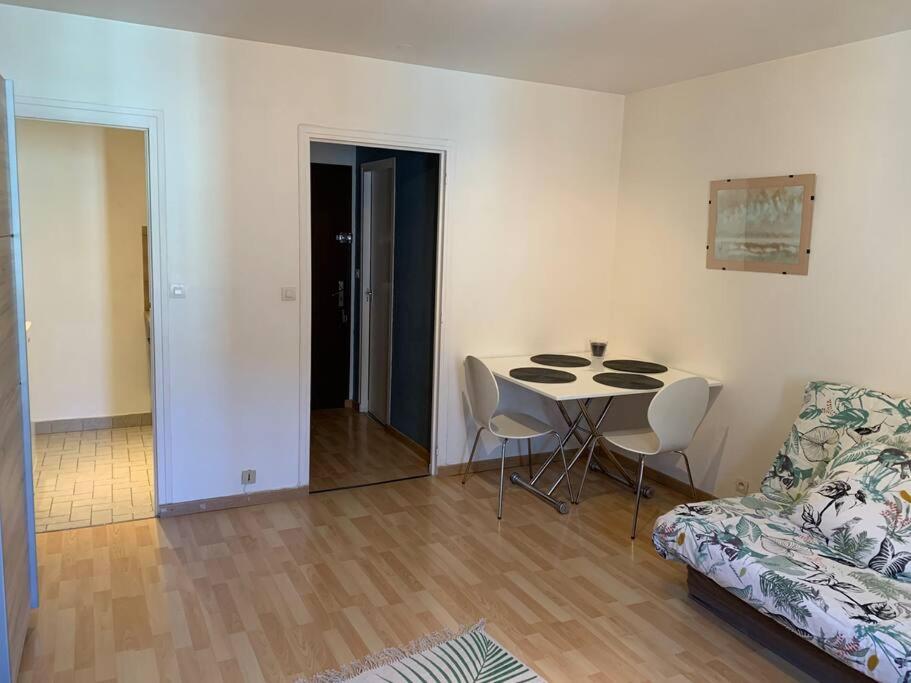Beautiful and spacious apartment with a lovely garden 06400 Cannes
