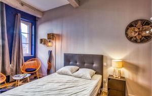 Beautiful apartment in Albi with 1 Bedrooms and WiFi